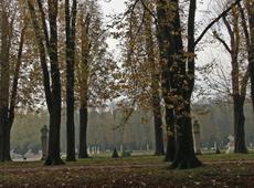 Herbststimmung-23-10-09 023.jpg